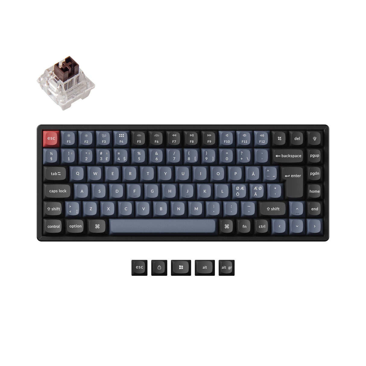 Keychron K2 Pro QMK VIA custom mechanical keyboard 75 percent layout PBT Keycaps hot-swappable Keychron K Pro switch brown ISO UK layout