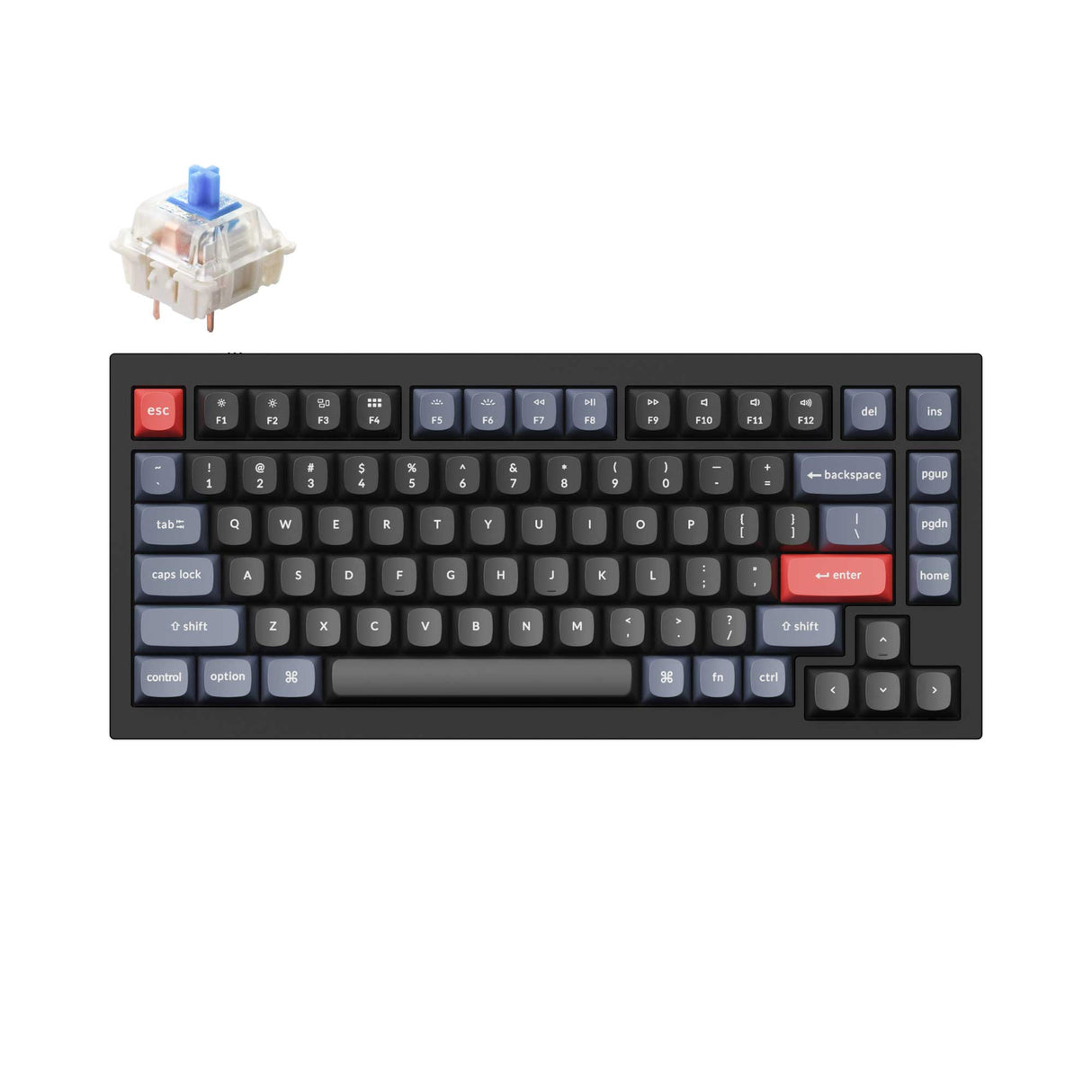 Keychron Q1 QMK VIA custom mechanical keyboard 75 percent layout full aluminum black frame for Mac Windows iOS RGB backlight with hot swappable Gateron G Pro switch blue