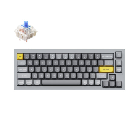 Keychron Q2 QMK VIA custom mechanical keyboard 65 percent layout full aluminum grey frame for Mac Windows iOS RGB backlight with hot swappable Gateron G Pro switch blue