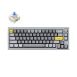 Keychron Q2 QMK VIA custom mechanical keyboard 65 percent layout full aluminum grey frame B knob for Mac Windows iOS RGB backlight with hot swappable Gateron G Pro switch blue