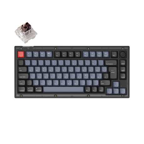 Keychron V1 QMK VIA custom mechanical keyboard 75 percent layout frosted black knob hot-swappable Keychron K Pro switch brown German ISO layout